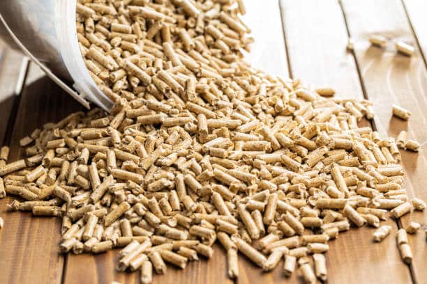 قیمت خرید مکمل غذای دام سبک عمده به صرفه و ارزان